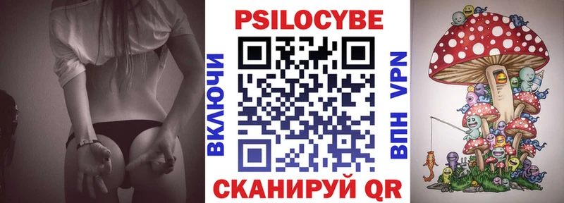 Псилоцибиновые грибы мицелий как найти закладки Правдинск